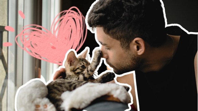 Video Of Kitten Loving On Man Will Hypnotize You With Cuteness