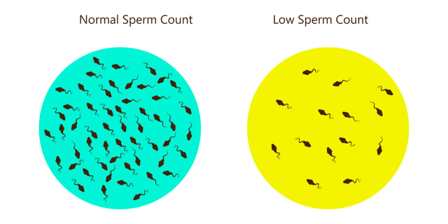 Is Your Cell Phone Affecting Your Sperm Count?